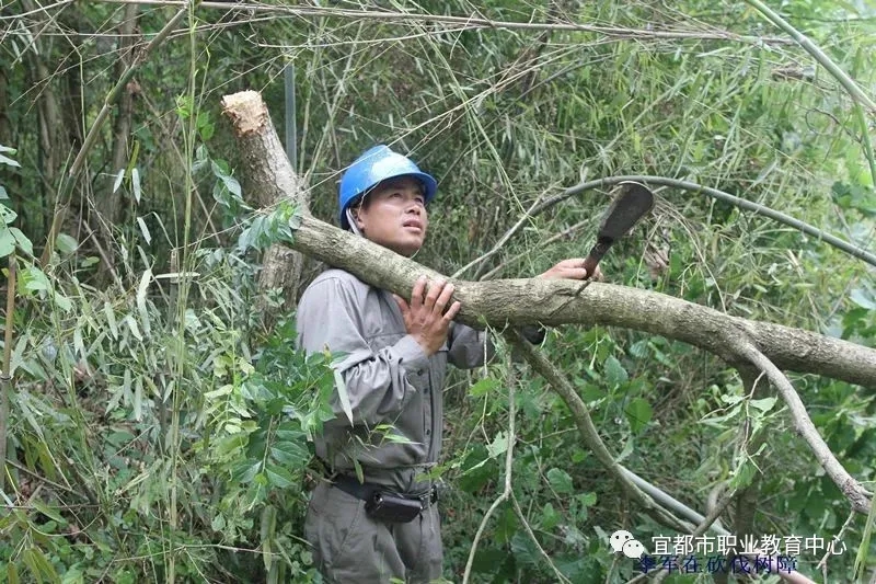 1611556911323857.jpg 1611556911323857.jpg