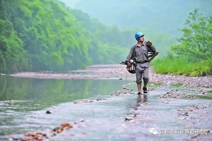 1611556939546116.jpg 1611556939546116.jpg